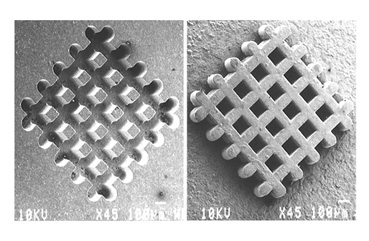 Micro Mold