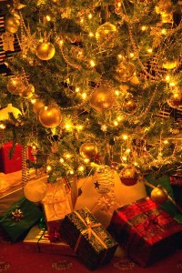 christmas-tree_web1 christmas-tree_web1