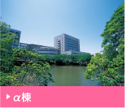 α棟