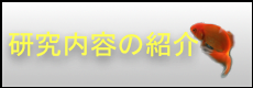 研究内容