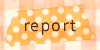  report 