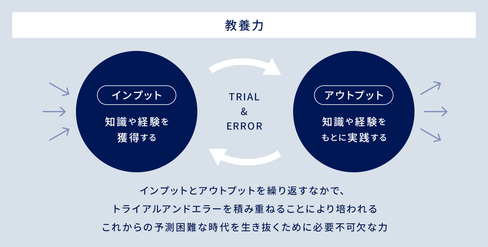 教養力: インプットとアウトプットを繰り返すなかで、トライアルアンドエラーを積み重ねることにより培われるこれからの予測困難な時代を生き抜くために必要不可欠な力