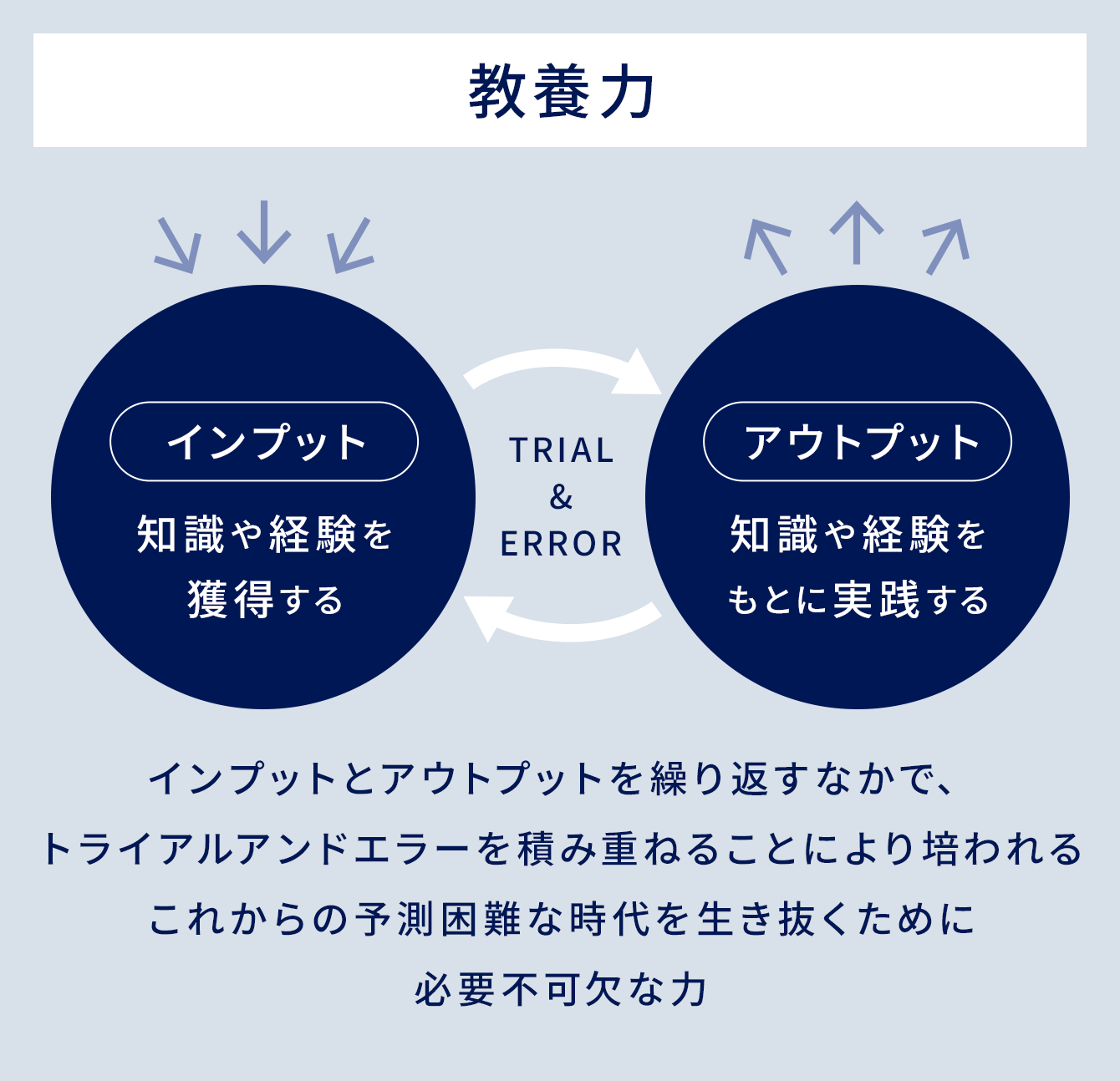 教養力: インプットとアウトプットを繰り返すなかで、トライアルアンドエラーを積み重ねることにより培われるこれからの予測困難な時代を生き抜くために必要不可欠な力