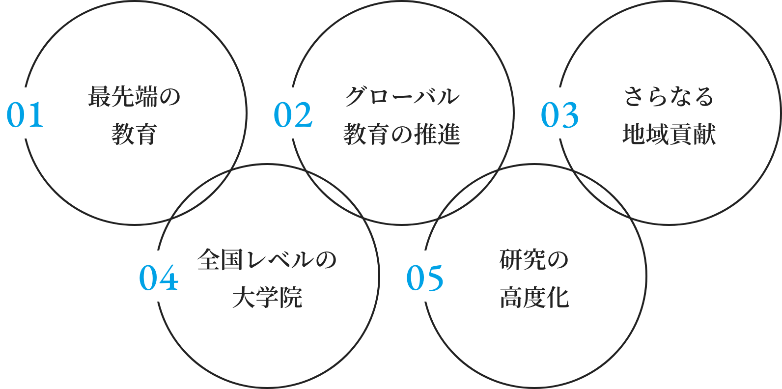 01.最先端の教育 02.グローバル教育の推進 03.さらなる地域貢献 04.全国レベルの大学院 05.研究の高度化