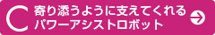 C@Y悤ɎxĂp[AVXg{bg