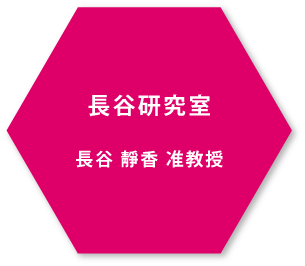 長谷靜香教授 長谷研究室
