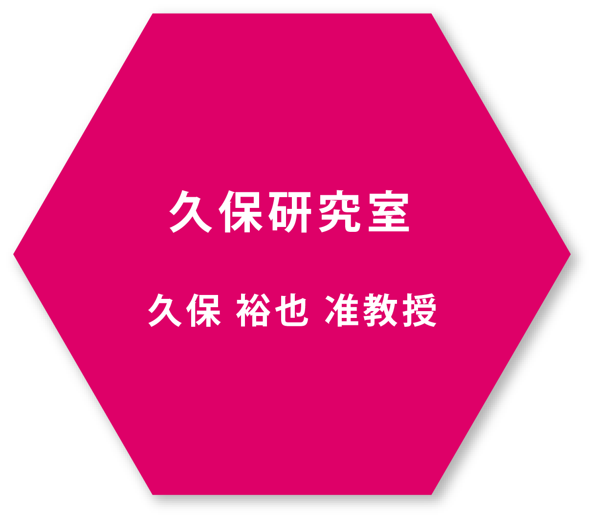 久保裕也准教授 久保研究室