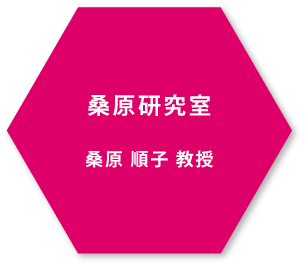 桑原順子教授 桑原研究室