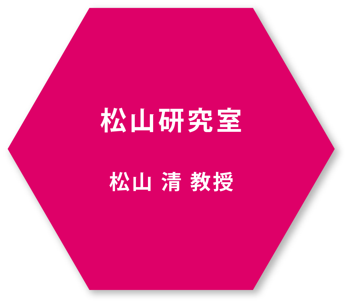 松山清教授 松山研究室