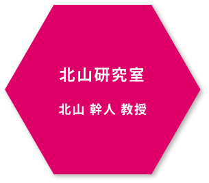 北山幹人教授 北山研究室