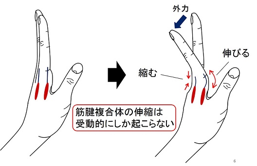 mtc-jp