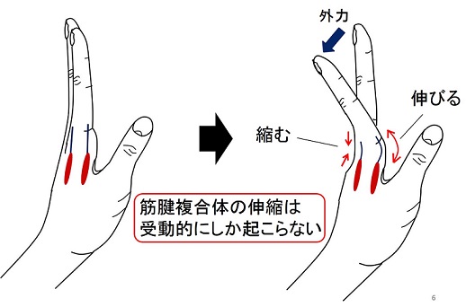 hand-mtc-jp